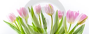 SchÃÂ¶ner BlumenstrauÃÅ¸ aus rosafarbenen Tulpen photo